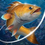 Cover Image of Fishing Hook v2.5.6 MOD APK (Unlimited Coins)