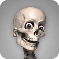 Cover Image of Skelly: Poseable Anatomy Model 1.12 Full Apk for Android