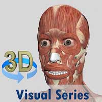 Cover Image of Visual Muscles 3D 3.0.0 Apk for Android